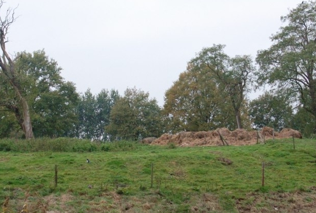 021. Kwartier Pijnssen