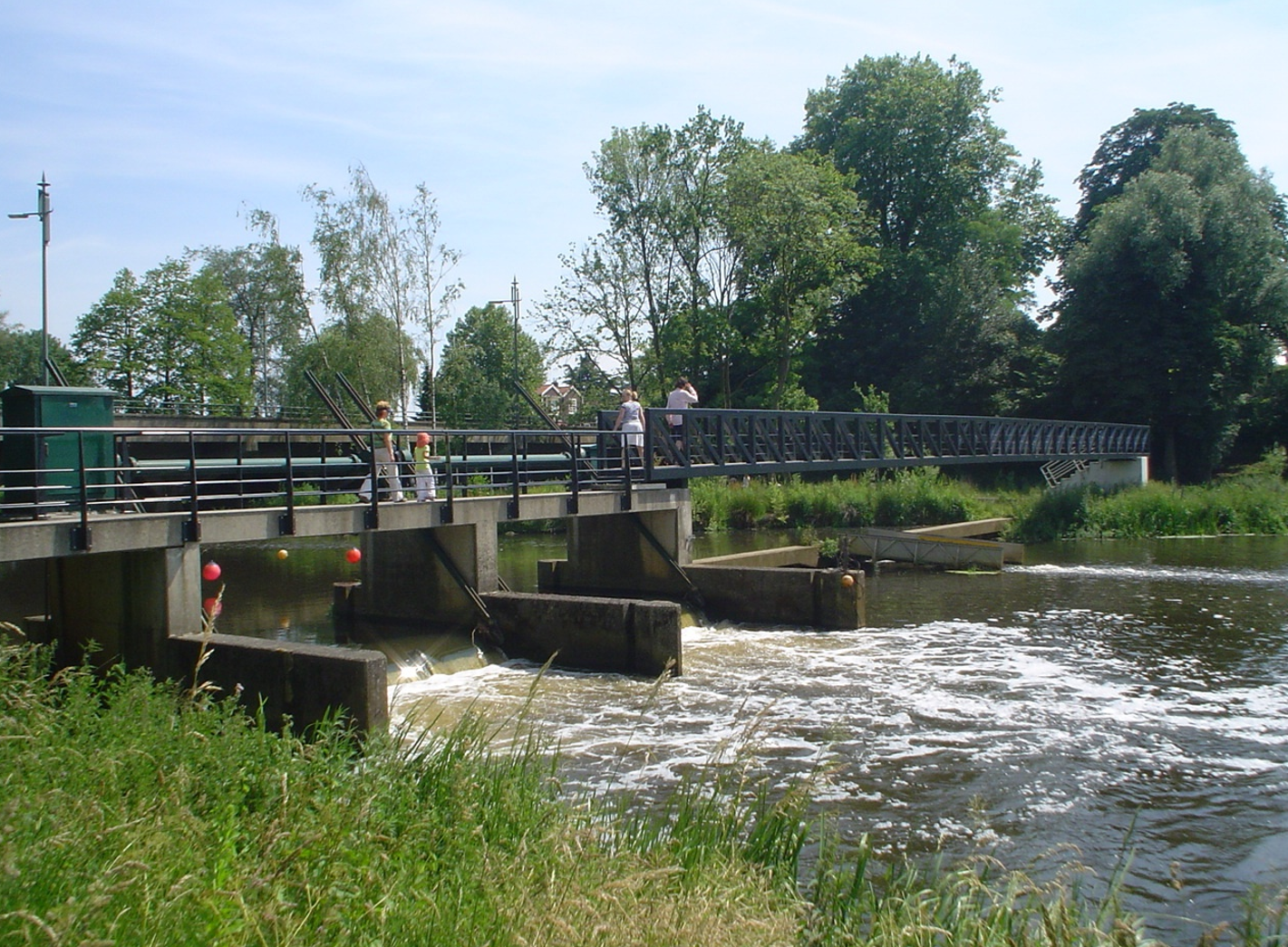 De stadsdommel